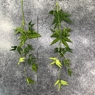 Цветок искусственный TM-111 86CM